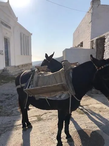 Something Special 度假居 *